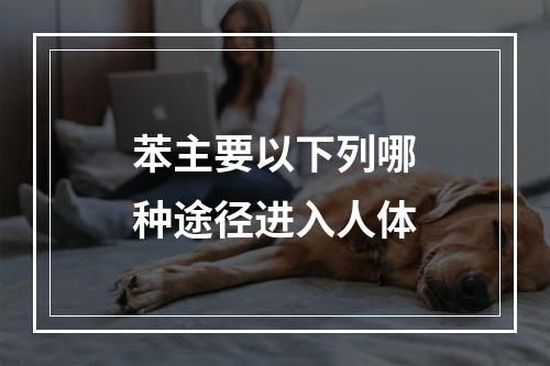 苯主要以下列哪种途径进入人体