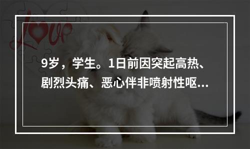 9岁，学生。1日前因突起高热、剧烈头痛、恶心伴非喷射性呕吐1