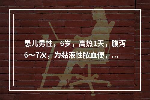 患儿男性，6岁，高热1天，腹泻6～7次，为黏液性脓血便，腹痛