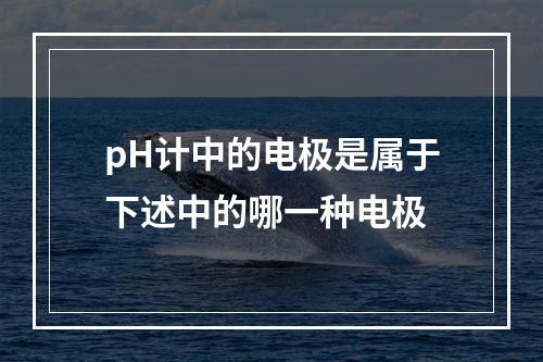 pH计中的电极是属于下述中的哪一种电极