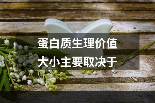 蛋白质生理价值大小主要取决于