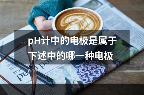 pH计中的电极是属于下述中的哪一种电极