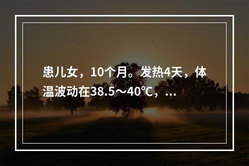 患儿女，10个月。发热4天，体温波动在38.5～40℃，偶有