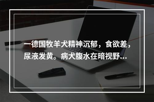 一德国牧羊犬精神沉郁，食欲差，尿液发黄。病犬腹水在暗视野显