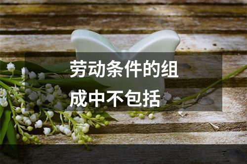 劳动条件的组成中不包括