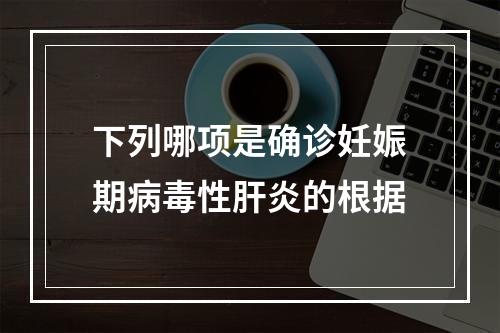 下列哪项是确诊妊娠期病毒性肝炎的根据