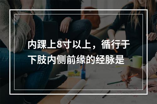 内踝上8寸以上，循行于下肢内侧前缘的经脉是