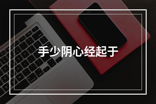 手少阴心经起于