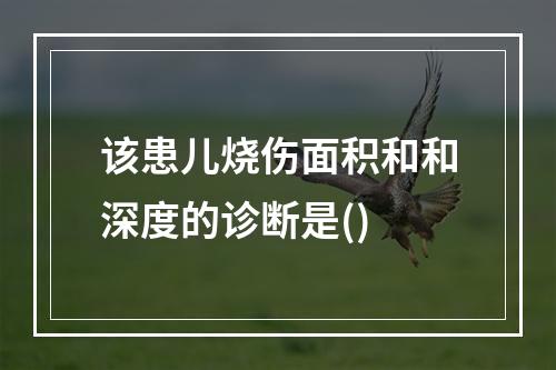 该患儿烧伤面积和和深度的诊断是()