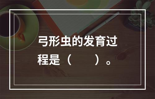 弓形虫的发育过程是（　　）。