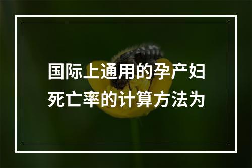 国际上通用的孕产妇死亡率的计算方法为