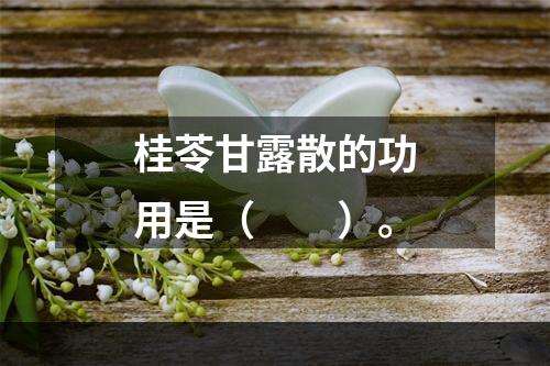 桂苓甘露散的功用是（　　）。