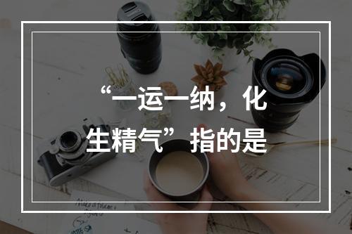 “一运一纳，化生精气”指的是