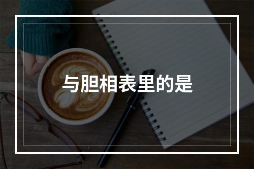 与胆相表里的是