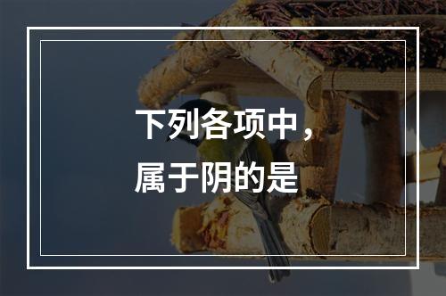 下列各项中，属于阴的是