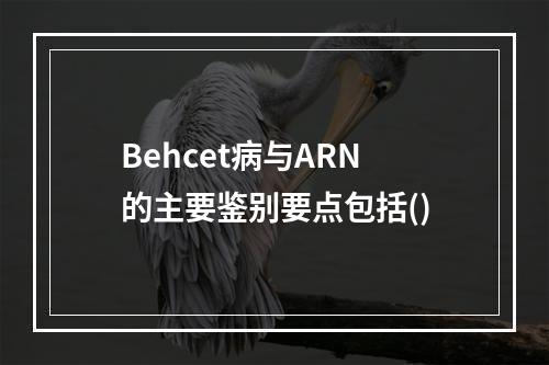 Behcet病与ARN的主要鉴别要点包括()