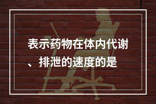 表示药物在体内代谢、排泄的速度的是