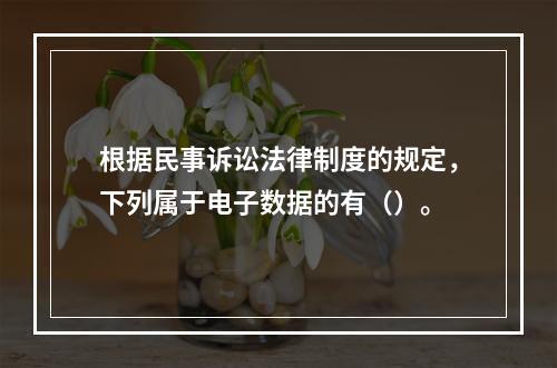 根据民事诉讼法律制度的规定，下列属于电子数据的有（）。