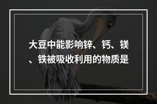 大豆中能影响锌、钙、镁、铁被吸收利用的物质是