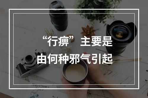 “行痹”主要是由何种邪气引起