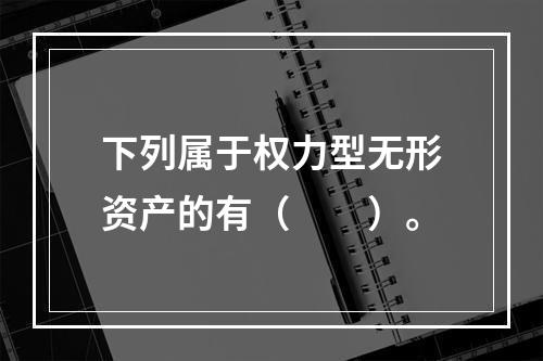 下列属于权力型无形资产的有（　　）。