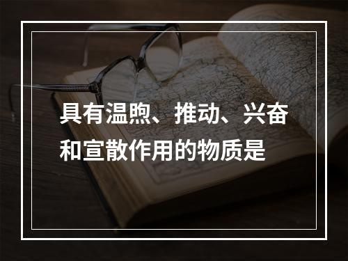 具有温煦、推动、兴奋和宣散作用的物质是