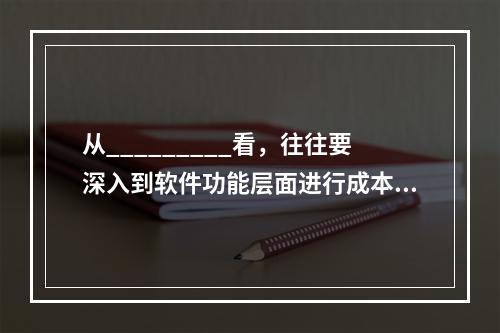 从_________看，往往要深入到软件功能层面进行成本效益