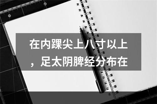 在内踝尖上八寸以上，足太阴脾经分布在