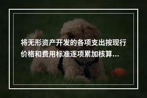 将无形资产开发的各项支出按现行价格和费用标准逐项累加核算，注