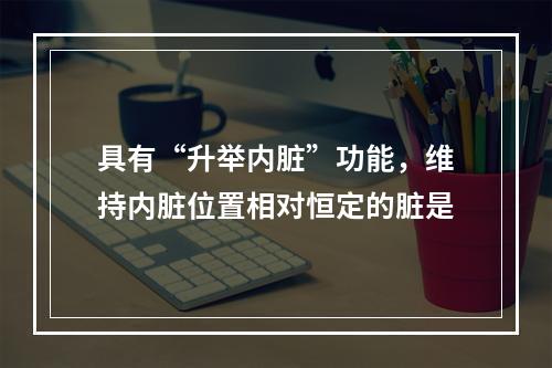 具有“升举内脏”功能，维持内脏位置相对恒定的脏是