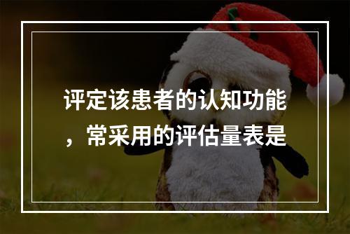 评定该患者的认知功能，常采用的评估量表是