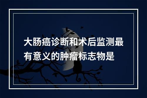 大肠癌诊断和术后监测最有意义的肿瘤标志物是