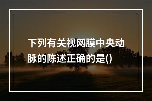 下列有关视网膜中央动脉的陈述正确的是()