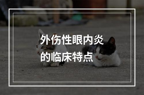 外伤性眼内炎的临床特点