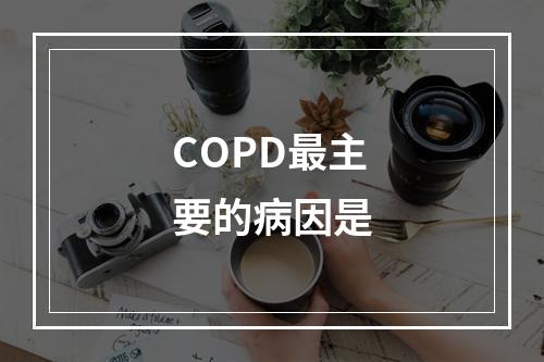 COPD最主要的病因是