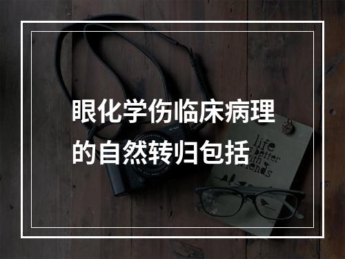 眼化学伤临床病理的自然转归包括