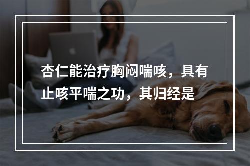 杏仁能治疗胸闷喘咳，具有止咳平喘之功，其归经是