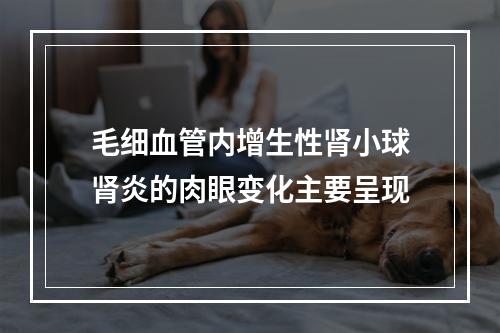 毛细血管内增生性肾小球肾炎的肉眼变化主要呈现