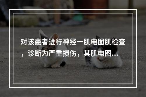 对该患者进行神经一肌电图肌检查，诊断为严重损伤，其肌电图表现