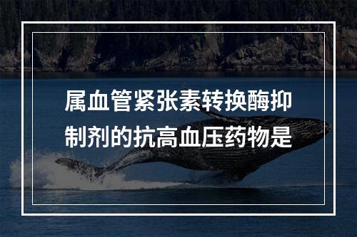 属血管紧张素转换酶抑制剂的抗高血压药物是