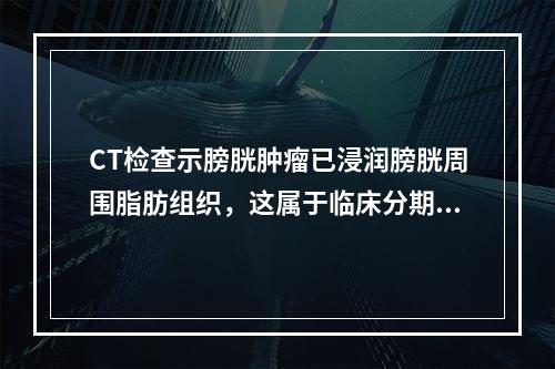 CT检查示膀胱肿瘤已浸润膀胱周围脂肪组织，这属于临床分期哪一