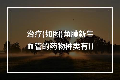 治疗(如图)角膜新生血管的药物种类有()