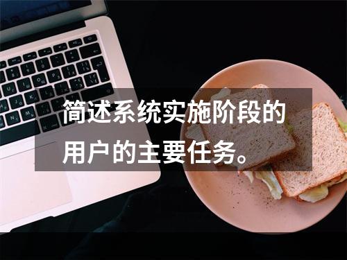 简述系统实施阶段的用户的主要任务。