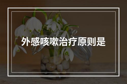 外感咳嗽治疗原则是