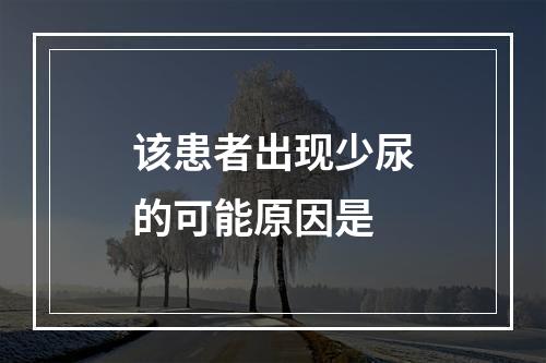 该患者出现少尿的可能原因是