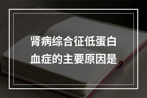 肾病综合征低蛋白血症的主要原因是