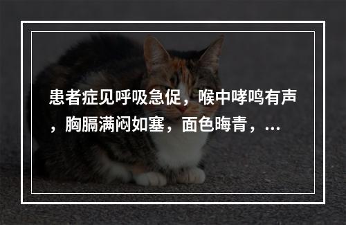 患者症见呼吸急促，喉中哮鸣有声，胸膈满闷如塞，面色晦青，形寒