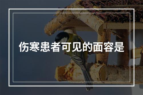 伤寒患者可见的面容是