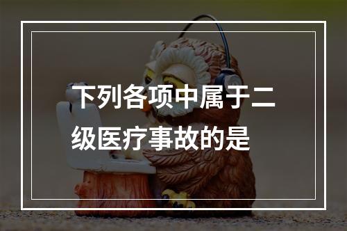 下列各项中属于二级医疗事故的是