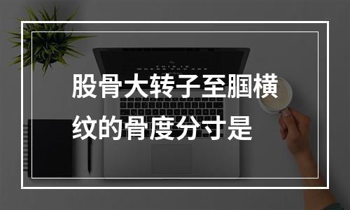 股骨大转子至腘横纹的骨度分寸是